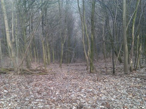 Foto 21